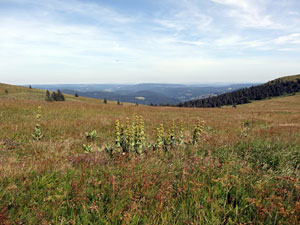 Titisee - Feldberg