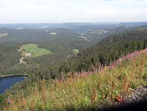 Titisee - Feldberg