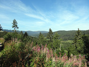 Titisee - Feldberg