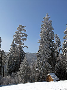 Winter im Dobel, Schwarzenbach, Windkapf und Oehle
