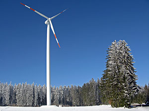 Winter im Dobel, Schwarzenbach, Windkapf und Oehle