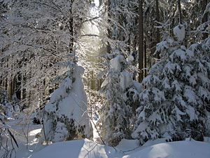 Winter im Dobel, Schwarzenbach, Windkapf und Oehle