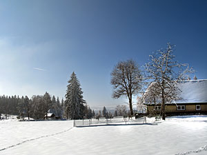 Winter im Dobel, Schwarzenbach, Windkapf und Oehle