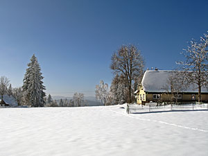 Winter im Dobel, Schwarzenbach, Windkapf und Oehle