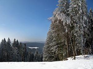 Winter im Dobel, Schwarzenbach, Windkapf und Oehle