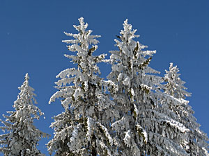 Winter im Dobel, Schwarzenbach, Windkapf und Oehle
