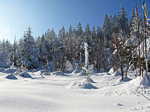 Winter im Dobel, Schwarzenbach, Windkapf und Oehle