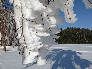 Winter im Dobel, Schwarzenbach, Windkapf und Oehle
