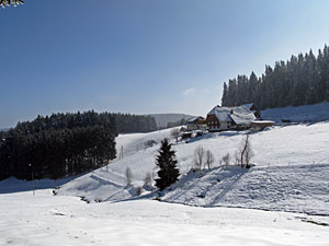 Winter im Dobel, Schwarzenbach, Windkapf und Oehle