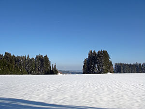Winter im Dobel, Schwarzenbach, Windkapf und Oehle