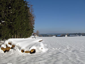 Winter im Dobel, Schwarzenbach, Windkapf und Oehle