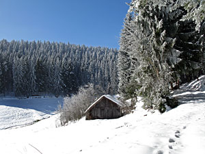 Winter im Dobel, Schwarzenbach, Windkapf und Oehle