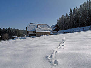Winter im Dobel, Schwarzenbach, Windkapf und Oehle