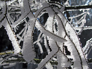 Winter im Dobel, Schwarzenbach, Windkapf und Oehle