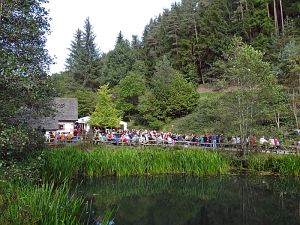 Zwiebelkuchenfest 2013