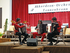 Akkordeon in Concert