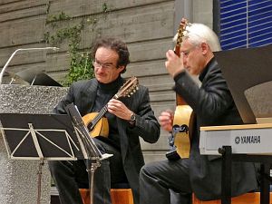 Musikzauber des Akkordeonorchesters