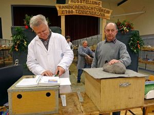 Kaninchenzuchtverein Lokalschau 2014