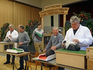 Kaninchenzuchtverein Lokalschau 2014 Kaninchenzuchtverein Lokalschau 2014