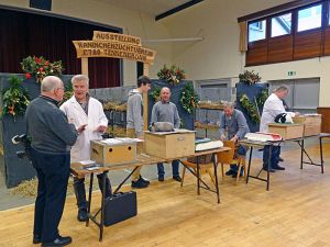 Kaninchenzuchtverein Lokalschau 2014