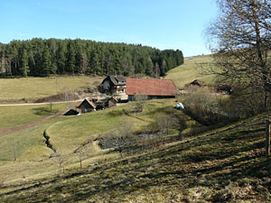 Frhlingsspaziergang Kohlwald