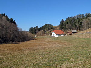 Frhlingsspaziergang Kohlwald