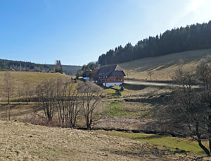 Frhlingsspaziergang Kohlwald