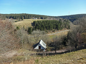 Frhlingsspaziergang Kohlwald
