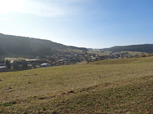 Frhlingsspaziergang Kohlwald