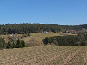 Frhlingsspaziergang Kohlwald