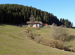 Frhlingsspaziergang Kohlwald