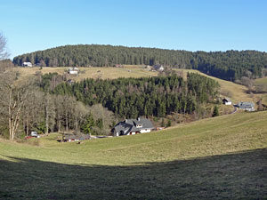 Frhlingsspaziergang Kohlwald