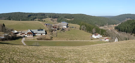 Frhlingsspaziergang Kohlwald