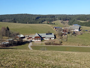Frhlingsspaziergang Kohlwald