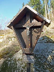 Frhlingsspaziergang Kohlwald