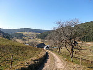 Frhlingsspaziergang Kohlwald