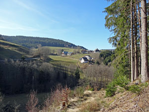 Frhlingsspaziergang Kohlwald