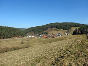 Frhlingsspaziergang Kohlwald