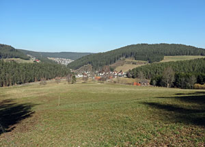 Frhlingsspaziergang Kohlwald