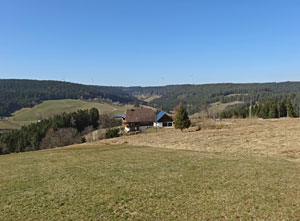 Frhlingsspaziergang Kohlwald