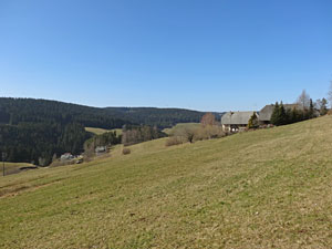 Frhlingsspaziergang Kohlwald