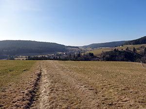 Frhlingsspaziergang Kohlwald