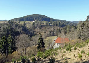 Frühlingsspaziergang Kohlwald Frühlingsspaziergang Kohlwald