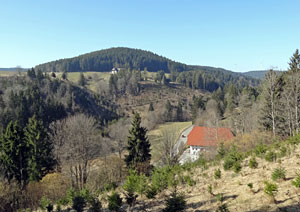 Frhlingsspaziergang Kohlwald