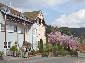 Der Frhling in Tennenbronn 2014