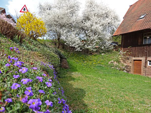Der Frhling in Tennenbronn 2014