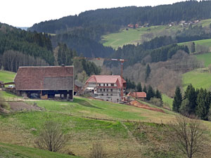 Der Frhling in Tennenbronn 2014
