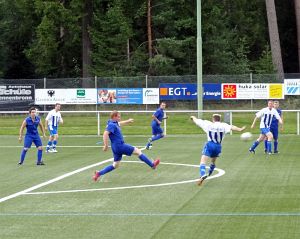 Fuballdorfmeisterschaft 2014