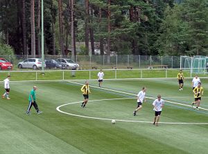 Fuballdorfmeisterschaft 2014