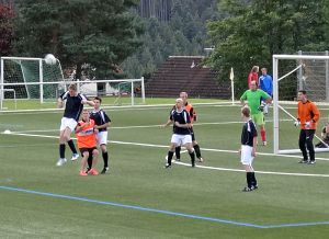 Fuballdorfmeisterschaft 2014